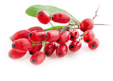 Protein Superfood