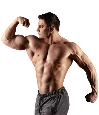Massive Weight Gainer