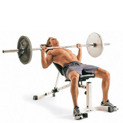 Amino support