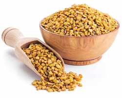 Fenugreek